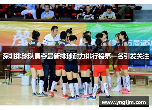 深圳排球队勇夺最新排球耐力排行榜第一名引发关注
