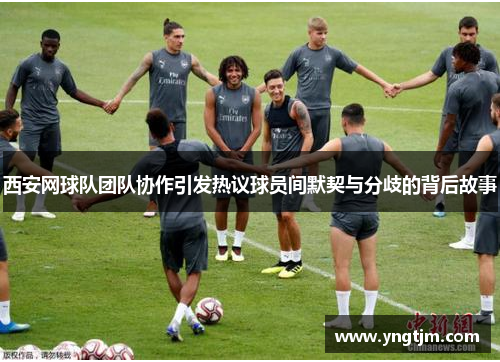 西安网球队团队协作引发热议球员间默契与分歧的背后故事