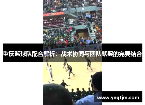 重庆篮球队配合解析：战术协同与团队默契的完美结合