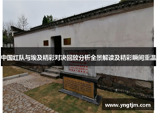 中国红队与埃及精彩对决回放分析全景解读及精彩瞬间重温