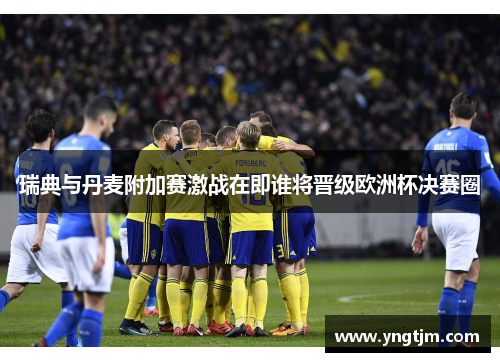 瑞典与丹麦附加赛激战在即谁将晋级欧洲杯决赛圈
